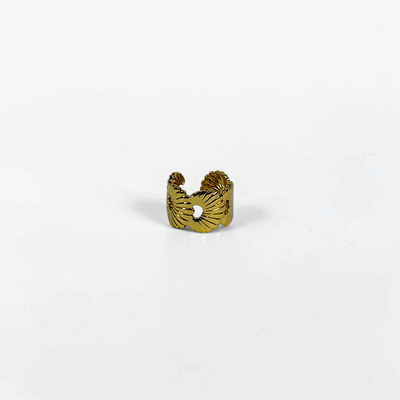 Ridged Fan Ring